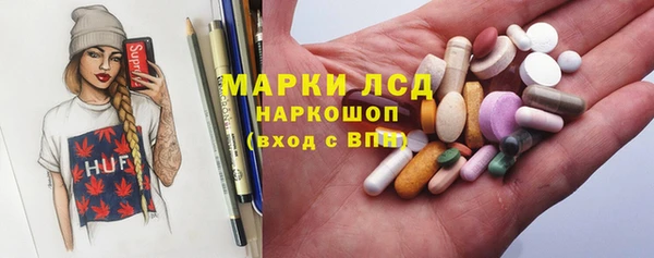 сатива Аркадак