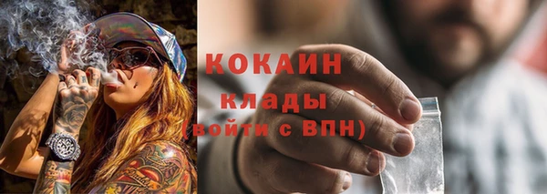 гашик Няндома