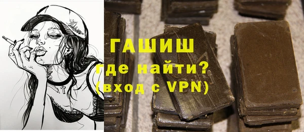 гашик Няндома
