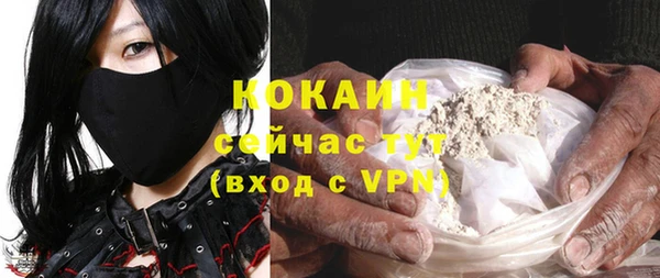 сатива Аркадак